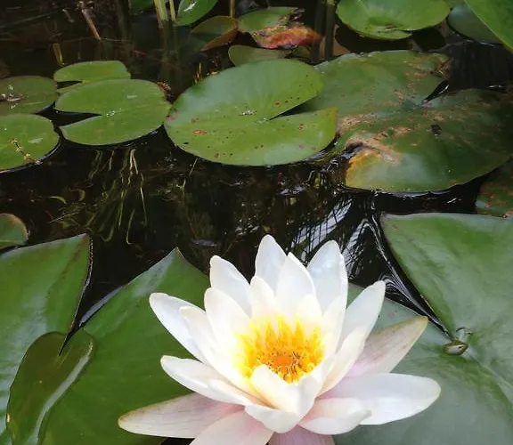 Castello D'abruzzo 3* Ripa Teatina